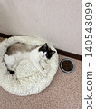 Cute cat sleeping peacefully in fluffy bed beside food bowl with delightful coziness. 140548099