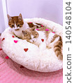 Two ginger and white cats cuddled together, surrounded by heart-shaped decorations for love. 140548104