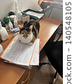 Calico Cat Comfortably Resting on a Desk Surrounded by Papers and Office Supplies 140548105