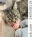 Tabby Cat Resting with Tiny Hands on Fur Surface in Cozy Setting 140548116