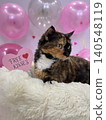 A beautiful tortoiseshell cat with a lovely expression posing amidst festive decorations. 140548119