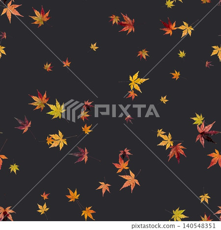 Seamless pattern of pressed maple leaves on a charcoal background. Seamless pattern of pressed maple leaves on a charcoal background. 140548351