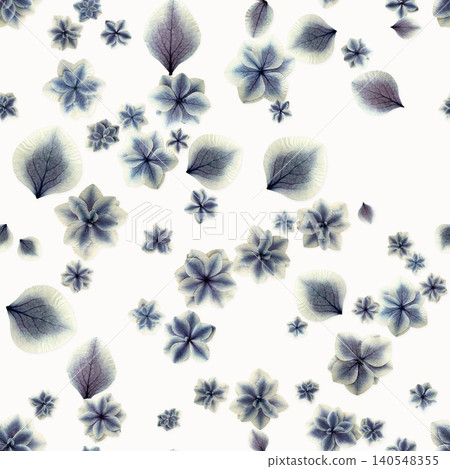 Pressed hydrangea seamless pattern in blue Pressed hydrangea seamless pattern in blue 140548355