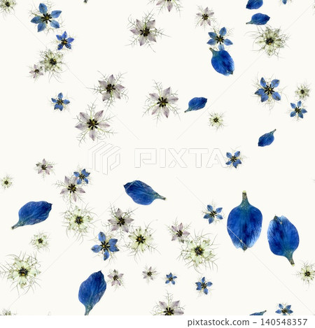 Seamless pattern of pressed nigella flowers Seamless pattern of pressed nigella flowers 140548357