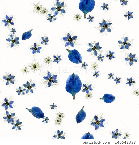 Pressed Nigella Seamless Pattern Blue Pressed Nigella Seamless Pattern Blue 140548358