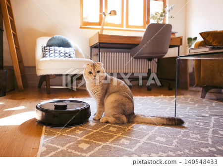 Domestic cat sitting beside a robotic vacuum cleaner on a patterned rug in a cozy living room with a desk and natural light from windows Domestic cat sitting beside a robotic vacuum cleaner on a patterned rug in a cozy living room with a desk and natural light from windows 140548433