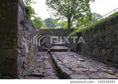 群馬縣大田市金山城遺址 140548493