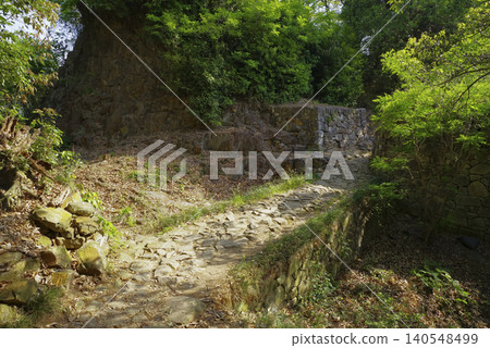 群馬縣大田市金山城遺址 群馬縣大田市金山城遺址 140548499