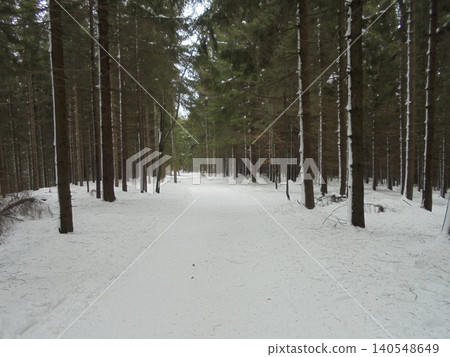 Beautiful forest scenery of the end of winter in Beskydy mountains in Czech Beautiful forest scenery of the end of winter in Beskydy mountains in Czech 140548649