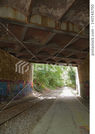 Railway tunnel and abandoned railway line at Petite Ceinture in the 17th arrondissement of Paris (June 12, 2026) Railway tunnel and abandoned railway line at Petite Ceinture in the 17th arrondissement of Paris (June 12, 2026) 140548700