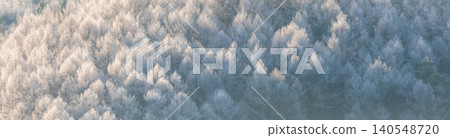 Frost that fell on the forest due to radiative cooling (around Onhara Kogen) 140548720
