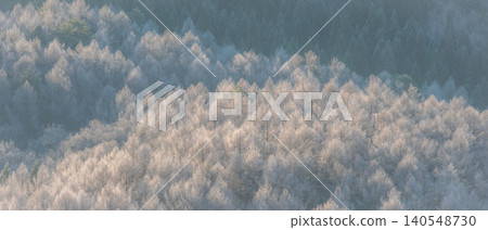 Frost that fell on the forest due to radiative cooling (around Onhara Kogen) 140548730