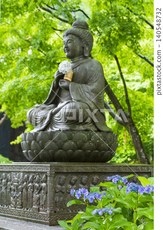 Hydoya's hydrangea (Kamakura) 140548732