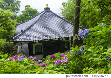 Hydoya's hydrangea (Kamakura) Hydoya's hydrangea (Kamakura) 140548743