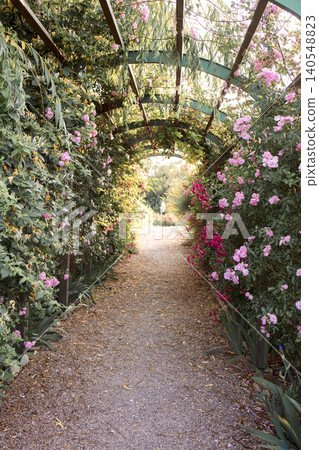 Flower-covered archway leading to a gravel path surrounded by vibrant blooming plants in a serene garden setting during daylight hours Flower-covered archway leading to a gravel path surrounded by vibrant blooming plants in a serene garden setting during daylight hours 140548823