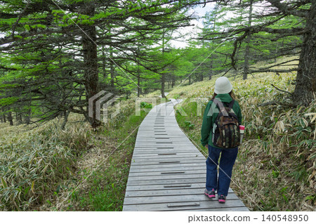 Hikers walking along the Ikenohira Sanpo Trail in Tomi City, Nagano Prefecture Hikers walking along the Ikenohira Sanpo Trail in Tomi City, Nagano Prefecture 140548950