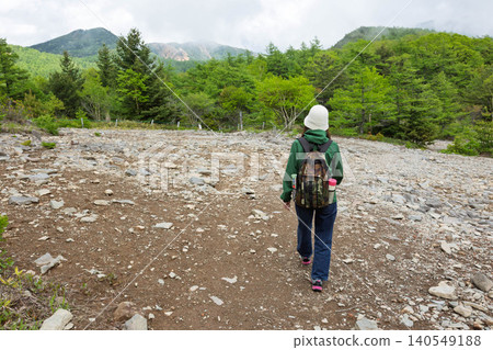 Scree field near Mikata Komakusa Garden, Tomi City, Nagano Prefecture Scree field near Mikata Komakusa Garden, Tomi City, Nagano Prefecture 140549188