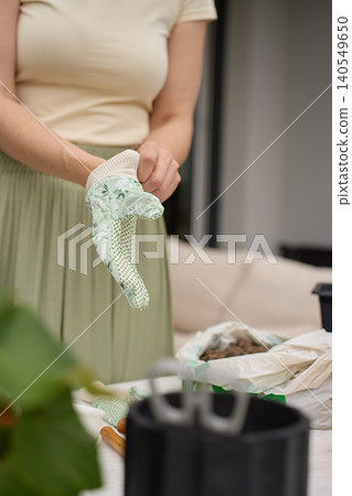 Person puts on gardening gloves for plant care near pots, tools and clay pebbles Person puts on gardening gloves for plant care near pots, tools and clay pebbles 140549650