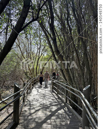 Observation trail in the Tel Dan Nature Reserve Observation trail in the Tel Dan Nature Reserve 140549750