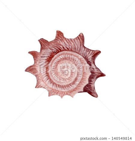 Watercolor spiral seashell illustration isolated on white. Hand painted marine shell in soft pink tones. Coastal element for beach decor, summer stationery, wedding invitations and nautical designs 140549814