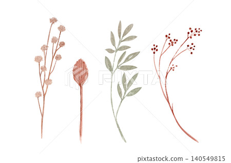 Wildflowers, leaves, dried stems and berries watercolor botanical set. Hand painted illustration isolated on white. Great for stationery, wedding designs, invitations, branding and boho projects 140549815
