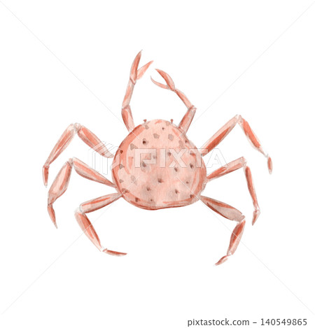 Spotted coastal crab watercolor illustration natural details, hand-painted texture. Seaside clipart isolated on white background, ideal for beach collections, patterns, nursery decor, coastal designs Spotted coastal crab watercolor illustration natural details, hand-painted texture. Seaside clipart isolated on white background, ideal for beach collections, patterns, nursery decor, coastal designs 140549865