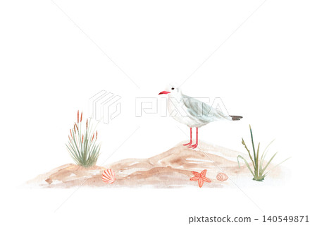 Standing seagull on sandy coastal dunes with beach grass, starfish, hand-painted watercolor illustration. Coastal clipart isolated on white for nursery decor, stationery, summer designs. Soft seaside 140549871