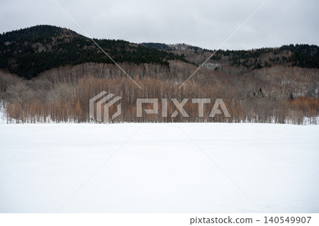 北海道舍裡町的雪地和森林的冬季景色 北海道舍裡町的雪地和森林的冬季景色 140549907