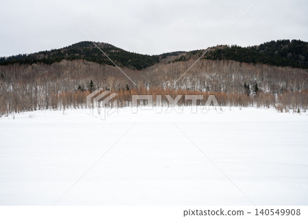北海道舍裡町的雪地和森林的冬季景色 北海道舍裡町的雪地和森林的冬季景色 140549908