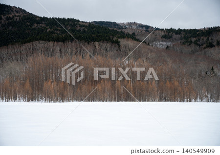 Winter scenery of snowfields and forests in Shari Town, Hokkaido Winter scenery of snowfields and forests in Shari Town, Hokkaido 140549909