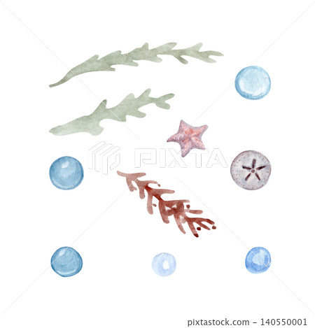 Watercolor coastal elements isolated on white background. Hand painted seaweed, coral, starfish, bubbles and sand dollar in soft pastel tones for beach decor, marine branding and seaside summer design 140550001