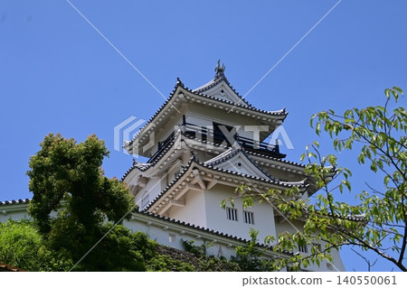 掛川城在藍天下閃耀 掛川城在藍天下閃耀 140550061