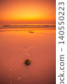 Golden sunset over the ocean with a lone coconut on the wet sand 140550223
