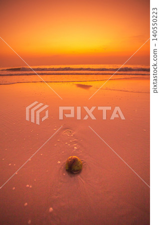 Golden sunset over the ocean with a lone coconut on the wet sand Golden sunset over the ocean with a lone coconut on the wet sand 140550223