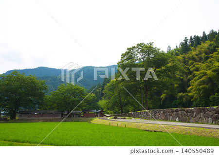 一條谷，西山弘聖寺遺址掩映在蔥鬱的綠蔭之中。 140550489