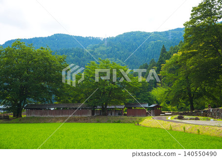 一條谷,西山弘聖寺遺址掩映在蔥鬱的綠蔭之中。 一條谷,西山弘聖寺遺址掩映在蔥鬱的綠蔭之中。 140550490