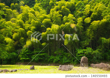 一條谷,西山弘聖寺遺址掩映在蔥鬱的綠蔭之中。 一條谷,西山弘聖寺遺址掩映在蔥鬱的綠蔭之中。 140550493