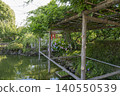 Kameido Tenjin Shrine grounds 140550539
