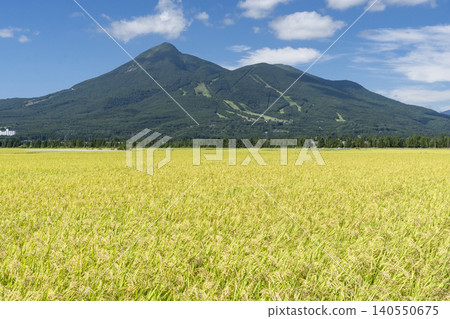 Mount Bandai, fragrant with the scent of rice fields (3) Mount Bandai, fragrant with the scent of rice fields (3) 140550675