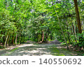 A mystical forest of giant trees and a solemnly standing stone lantern spread out beside the approach to Kashima Shrine (Kashima City, Ibaraki Prefecture) 140550692