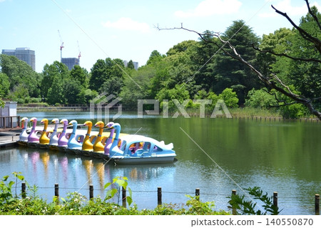 Kashiwaboha Park 140550870