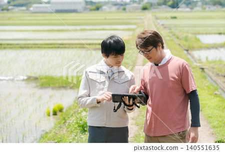 People engaged in rice farming People engaged in rice farming 140551635