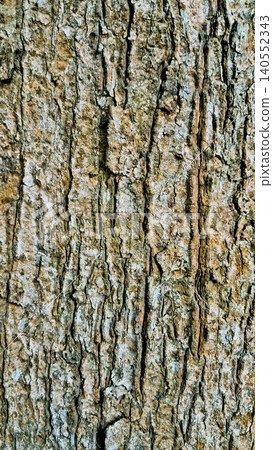 close up view of tree bark, for background close up view of tree bark, for background 140552343