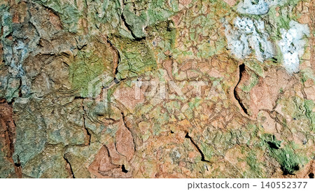 close up view of tree bark, for background close up view of tree bark, for background 140552377