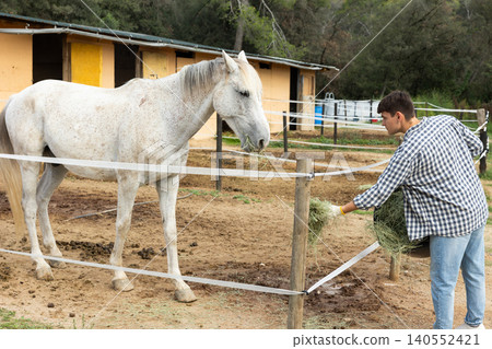 Young guy in working clothes standing with basket of hay and feeding horse on own ranch Young guy in working clothes standing with basket of hay and feeding horse on own ranch 140552421