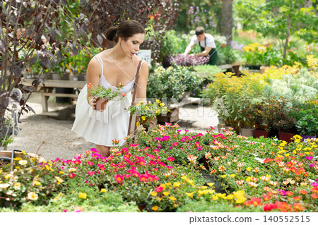 Spaniard woman examining flowers of potted portulaca in garden store Spaniard woman examining flowers of potted portulaca in garden store 140552515