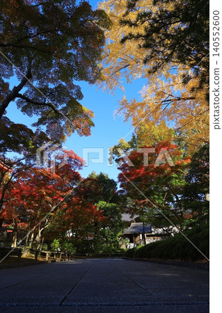 Bright autumn leaves 140552600