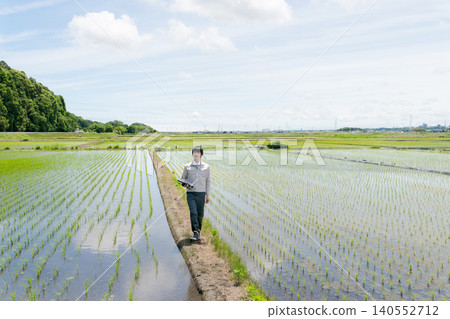 A man in work clothes looking at a rice field. A man in work clothes looking at a rice field. 140552712