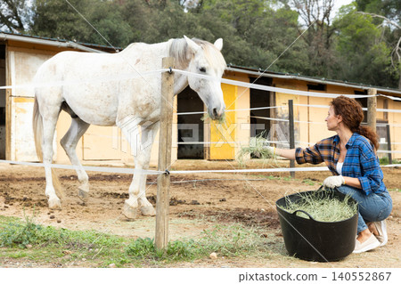 Adult female farm worker standing with basket and feeding roan horse with hay at stable Adult female farm worker standing with basket and feeding roan horse with hay at stable 140552867