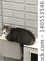 A tabby and white stray cat sitting in a loaf position on top of outdoor fixtures at a house. 140553546
